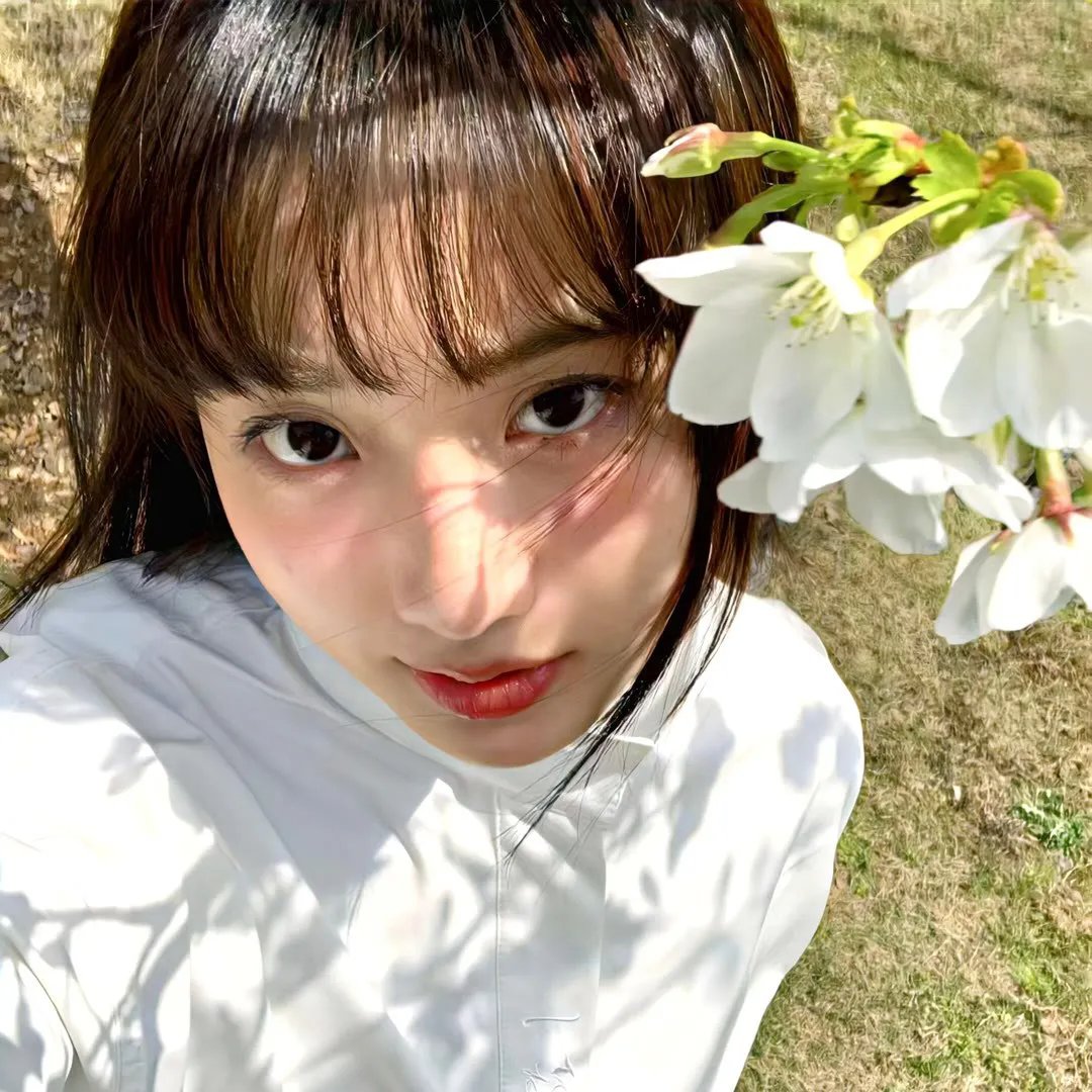 学堂霸王花